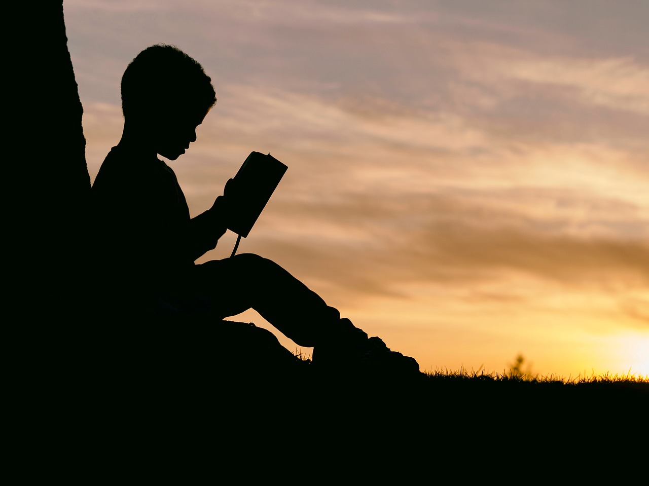 Lecture, méthode syllabique contre méthode globale
